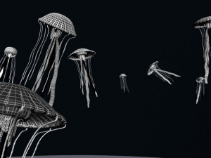 jellyfish 3D Модель