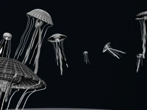 jellyfish 3D Model