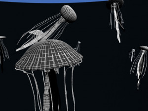 jellyfish 3D Модель