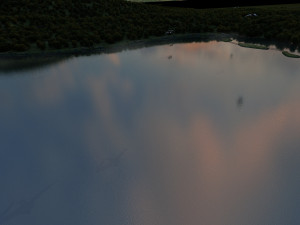 field pond 3D Model