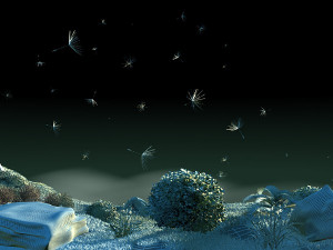 dandelion 3D Model