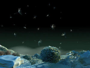 dandelion 3D Model