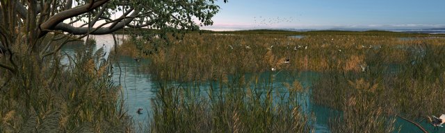 reed marshes 3D Model .c4d .max .obj .3ds .fbx .stl .blend