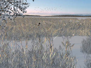 reed marshes 3D Model