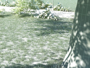 landscape garden 3D 模型