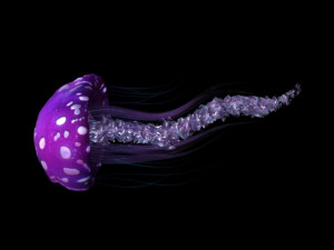 jellyfish 3D मॉडल