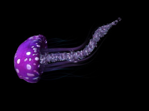 jellyfish 3D मॉडल