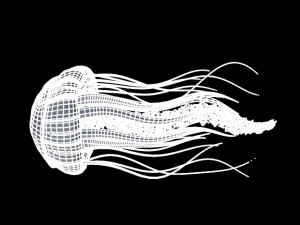 jellyfish 3D मॉडल