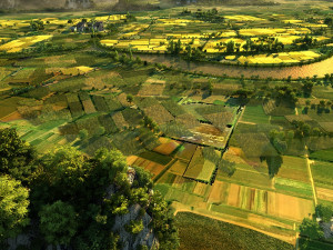 rural farmland 3Dモデル