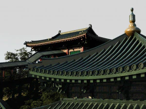 since the rain pavilion 3D Model