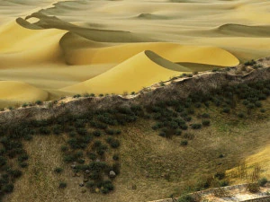 desert gobi earth wall 3D Model