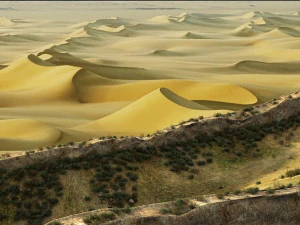 desert gobi earth wall 3D Model