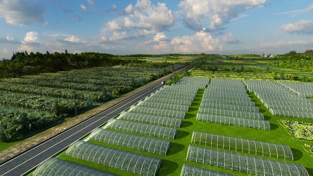 vegetable planting base Modello 3D .c4d .max .obj .3ds .fbx .stl .blend 