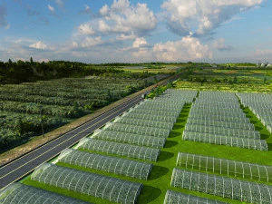 baza do sadzenia warzyw Model 3D