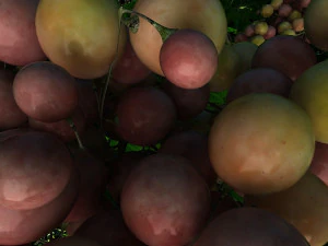 vegetable planting base 3D Model