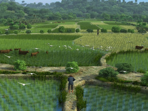 farmland Modelo 3D