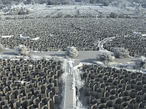 farmland Modelo 3D