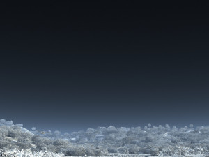 farmland Modelo 3D