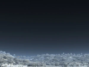 farmland 3D Model