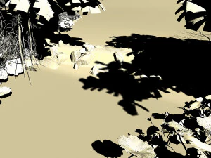 the stream 3D Model