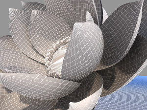 lotus 3D Model