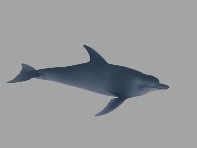 dolphin Model 3D .c4d .max .obj .3ds .fbx .stl .blend 