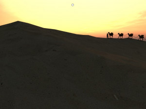 desert camel 3D Model