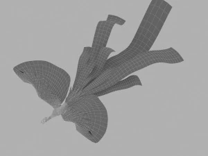 phoenix 3D Model