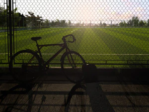 суд 3D Модель