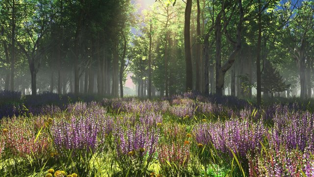 lavender 3D Model .c4d .max .obj .3ds .fbx .stl .blend 