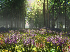 lavender Model 3D