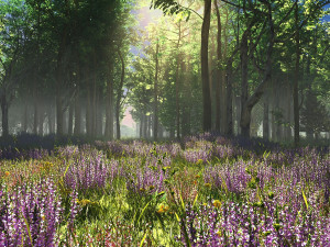 lavender 3D Model