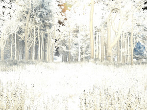 lavender 3D Model