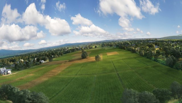 wheat field 3Dモデル .c4d .max .obj .3ds .fbx .stl .blend 