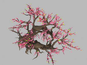 peach 3D 模型