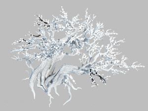 peach 3D 模型