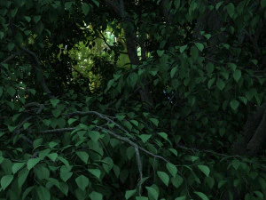 roller coaster 3D Model