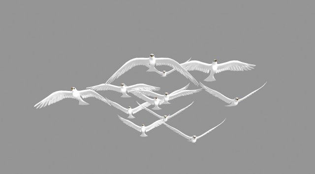 seagull 3Dモデル .c4d .max .obj .3ds .fbx .stl .blend 