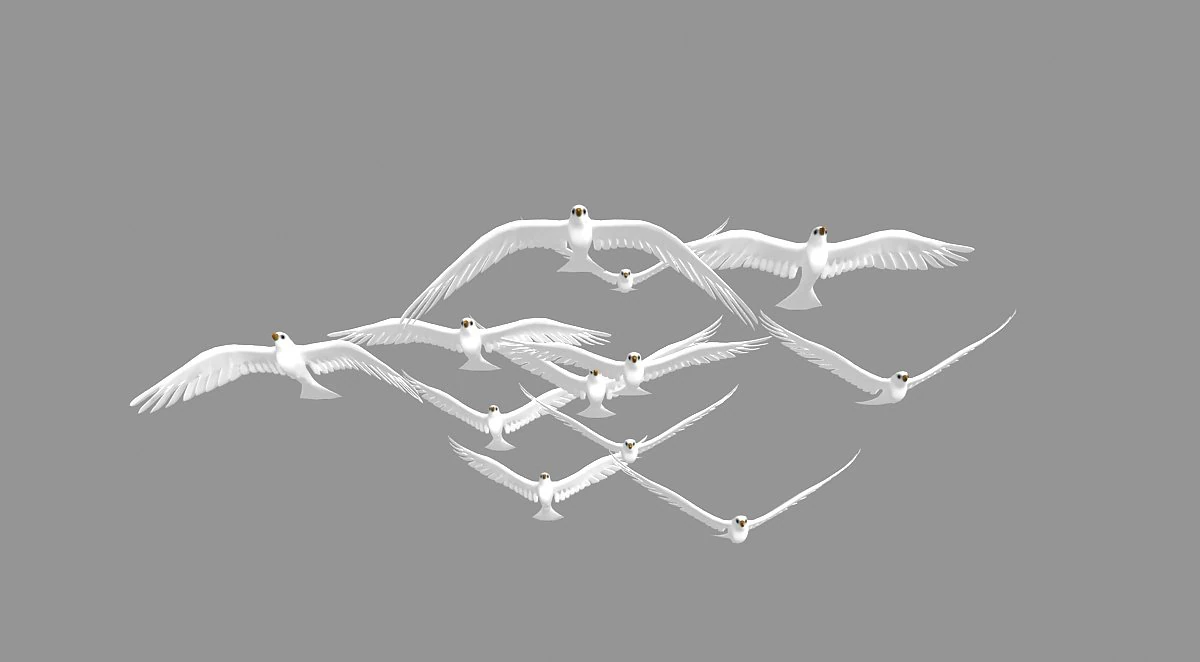seagull 3D Model .c4d .max .obj .3ds .fbx .stl .blend 
