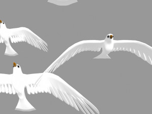 seagull 3Dモデル