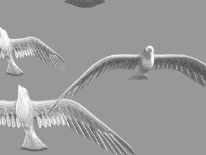 seagull 3Dモデル