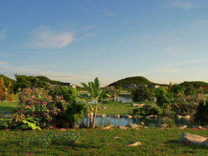 park 3D Model