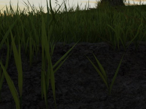 hillside Model 3D