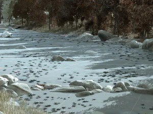 creek 3D Model