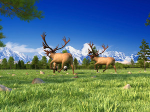 animal 3D मॉडल