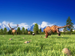 animal 3D मॉडल