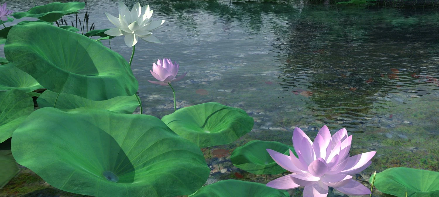 пруд с лотосами 3D Модель .c4d .max .obj .3ds .fbx .stl .blend 