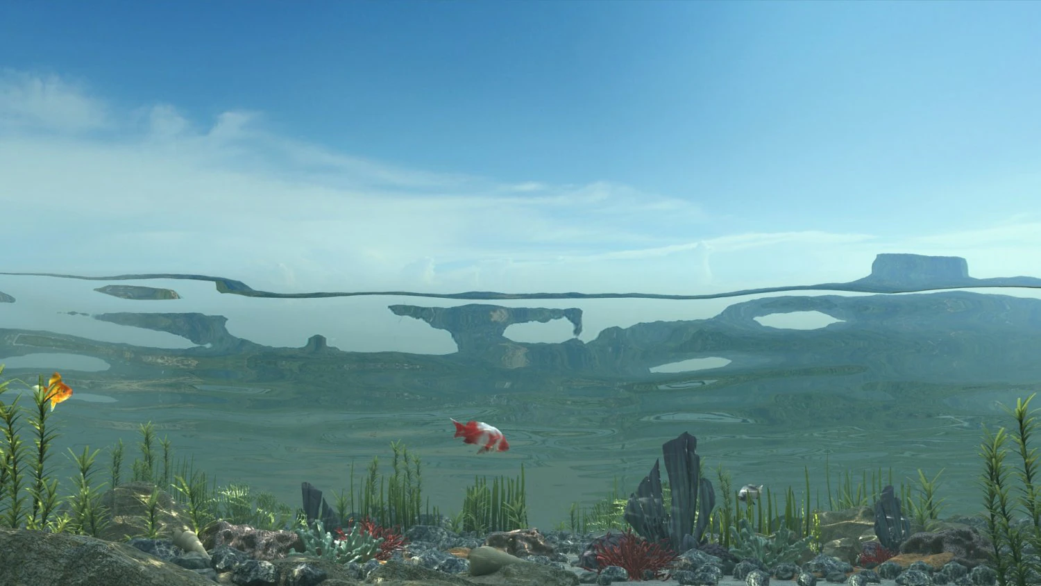 underwater 3D Model .c4d .max .obj .3ds .fbx .stl .blend 