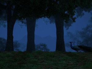 peacock 3Dモデル