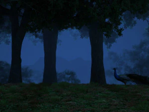peacock 3D Model